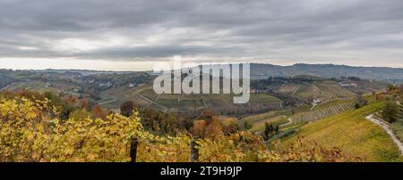 Les collines des Langhe, un paysage viticole à couper le souffle, sont un site du patrimoine mondial de l'UNESCO depuis des années Banque D'Images