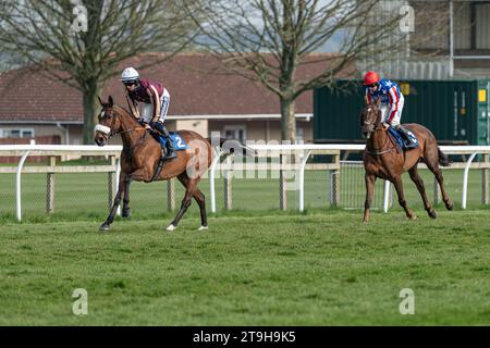 Maliboo cantonnant au départ à Wincanton Banque D'Images