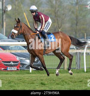 Maliboo cantonnant au départ à Wincanton Banque D'Images