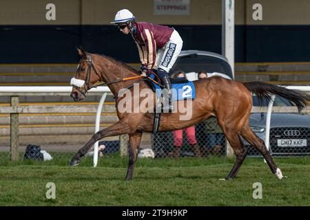 Maliboo cantonnant au départ à Wincanton Banque D'Images