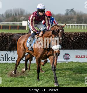 Maliboo en route pour la victoire Banque D'Images