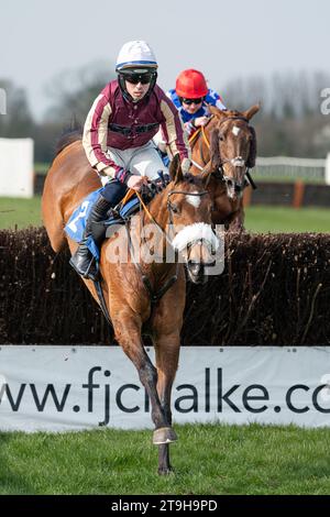 Maliboo en route pour la victoire Banque D'Images