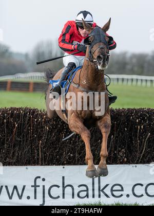 Red Happy remporte la cinquième course Banque D'Images