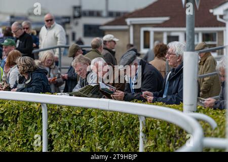 Wincanton spectateurs sur le ring de parade Banque D'Images