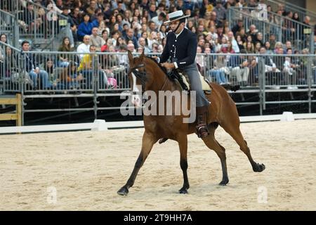 Madrid, Espagne. 25 novembre 2023. Un cavalier et son cheval lors de la compétition Doma Vaquera à la Madrid Horse week 2023, coupe du monde à IFEMA, 25 novembre 2023 Espagne (photo Oscar Gonzalez/Sipa USA) (photo Oscar Gonzalez/Sipa USA) crédit : SIPA USA/Alamy Live News Banque D'Images