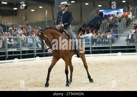 Madrid, Espagne. 25 novembre 2023. Un cavalier et son cheval lors de la compétition Doma Vaquera à la Madrid Horse week 2023, coupe du monde à IFEMA, 25 novembre 2023 Espagne (photo Oscar Gonzalez/Sipa USA) (photo Oscar Gonzalez/Sipa USA) crédit : SIPA USA/Alamy Live News Banque D'Images