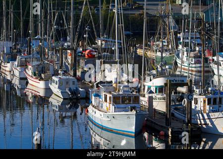 Navires commerciaux et de plaisance amarrés au port/port de plaisance d'Ucluelet, côte ouest de l'île de Vancouver, Colombie-Britannique, Canada pris du centre de villégiature Waters Edge. Banque D'Images