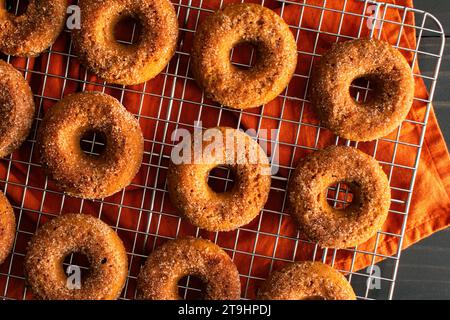 Donuts au cidre de pomme cuits au four avec revêtement de sucre cannelle : une douzaine de beignets cuits au four recouverts de sucre avec une tasse de cidre de pomme et des bâtonnets de cannelle Banque D'Images