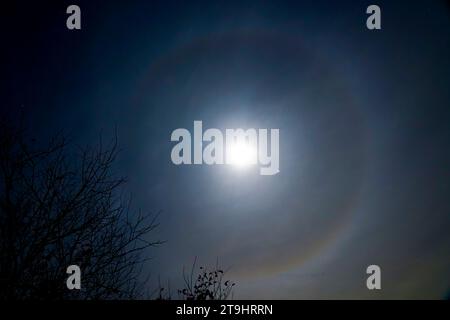 Hertford, Royaume-Uni 25 novembre 2023. Un halo lunaire, une illusion d'optique qui provoque un anneau autour de la lune. Les phénomènes naturels causés par la glace dans l'atmosphère. Le halo lunaire a été vu à Hertford, Royaume-Uni. Andrew Steven Graham/Alamy Live News Banque D'Images