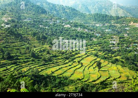 Station Hill dans l'état indien d'Uttarakhand Banque D'Images