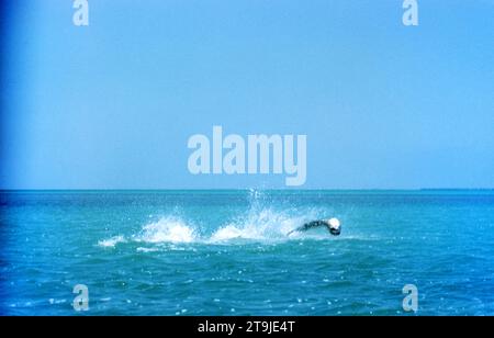 ISLAMORADA, FL - JUIN 1955 : vue générale d'un poisson Tarpon sautant hors de l'eau vers juin 1955 au large de la côte d'Islamorada, Floride. (Photo de Hy Peskin) Banque D'Images