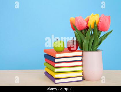 Livres reliés colorés lumineux empilés sur une table en bois clair avec fond bleu. Pomme rouge sur les livres empilés. Vase rose avec des fleurs de tulipe sittin Banque D'Images