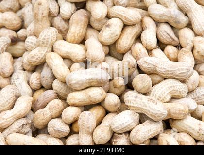 Gros plan sur pile de cacahuètes entières dans la coquille au marché des fermiers. Banque D'Images