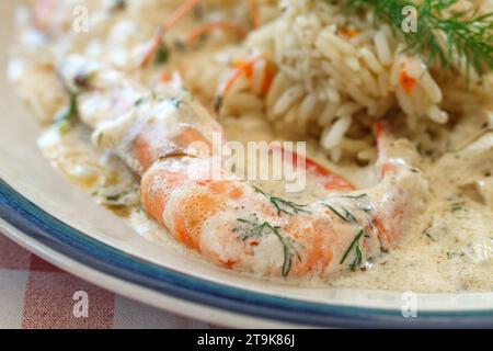 Crevettes cuites, crevettes au riz, risotto à la sauce blanche, sur assiette. Banque D'Images