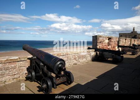 canon du château de Bamburgh regardant notre sur les sables. Northumberland, Royaume-Uni Banque D'Images