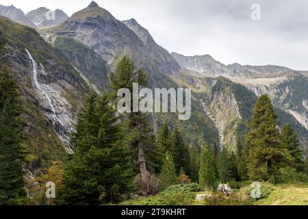 Cascade dans la vallée alpine de Zemmgrund dans les Alpes de Zillertal. Forêt de pins en pierre suisse. Autriche. Europe. Banque D'Images