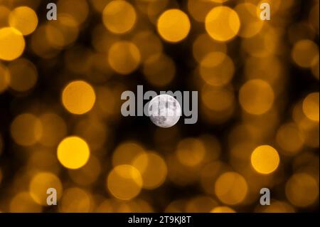 Madrid, Espagne. 25 novembre 2023. Une lune presque pleine de novembre, connue sous le nom de Beaver Moon, est vue à travers les lumières de Noël. Crédit : Marcos del Mazo/Alamy Live News Banque D'Images