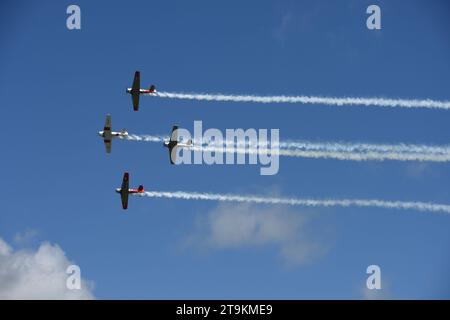 Wellington, Nouvelle-Zélande. 26 novembre 2023. Des avions se produisent lors du festival aérien Wings Over Wairarapa à l'aérodrome de Hood à Masterton, en Nouvelle-Zélande, le 26 novembre 2023. Des milliers de personnes se sont rassemblées et ont bondé sur le côté de la piste d'atterrissage de Hood Aerodrome à Masterton, en Nouvelle-Zélande, dimanche pour assister au spectacle aérien biennal Wings Over Wairarapa. Cette année, le festival aérien Wings Over Wairarapa présente plus de 70 avions, y compris des avions anciens, militaires et de la Force de défense néo-zélandaise, des jets, des hélicoptères et des expositions de voltige. Crédit : lu Huaiqian/Xinhua/Alamy Live News Banque D'Images