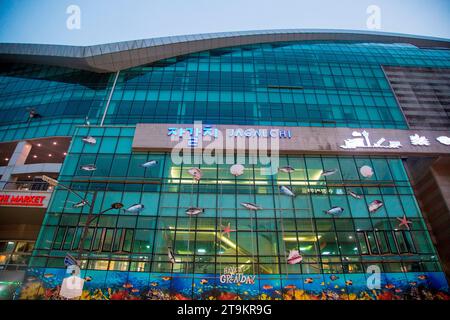 Marché Jagalchi, 9 novembre 2023 : marché Jagalchi à Busan, à environ 420 km (261 miles) au sud-est de Séoul, Corée du Sud. Le marché de Jagalchi est le plus grand marché de poissons et de produits marins en Corée du Sud. La Corée du Sud cherche à accueillir l’exposition universelle de 2030 à Busan alors qu’elle est en compétition avec l’Arabie saoudite et l’Italie. La ville hôte sera annoncée le 28 novembre. Crédit : Lee Jae-won/AFLO/Alamy Live News Banque D'Images