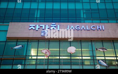 Marché Jagalchi, 9 novembre 2023 : marché Jagalchi à Busan, à environ 420 km (261 miles) au sud-est de Séoul, Corée du Sud. Le marché de Jagalchi est le plus grand marché de poissons et de produits marins en Corée du Sud. La Corée du Sud cherche à accueillir l’exposition universelle de 2030 à Busan alors qu’elle est en compétition avec l’Arabie saoudite et l’Italie. La ville hôte sera annoncée le 28 novembre. Crédit : Lee Jae-won/AFLO/Alamy Live News Banque D'Images