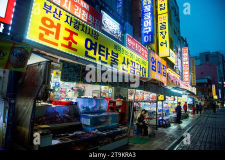 Marché Jagalchi, 9 novembre 2023 : marché Jagalchi à Busan, à environ 420 km (261 miles) au sud-est de Séoul, Corée du Sud. Le marché de Jagalchi est le plus grand marché de poissons et de produits marins en Corée du Sud. La Corée du Sud cherche à accueillir l’exposition universelle de 2030 à Busan alors qu’elle est en compétition avec l’Arabie saoudite et l’Italie. La ville hôte sera annoncée le 28 novembre. Crédit : Lee Jae-won/AFLO/Alamy Live News Banque D'Images