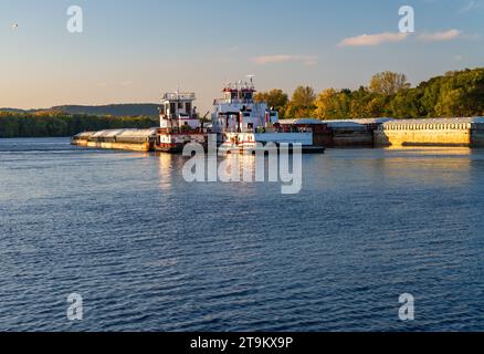 Gros chargement de grain sur le haut Mississippi dans une barge poussée par deux grands remorqueurs pousseurs sur la rivière Banque D'Images