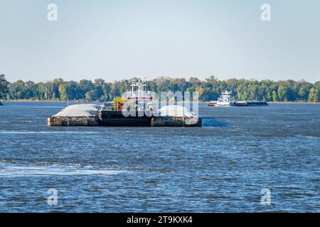 Deux grands remorqueurs poussant des rangées de barges avec du grain et des produits pétroliers le long du fleuve Mississippi supérieur Banque D'Images