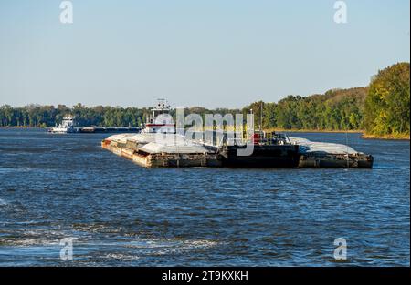 Deux grands remorqueurs poussant des rangées de barges avec du grain et des produits pétroliers le long du fleuve Mississippi supérieur Banque D'Images