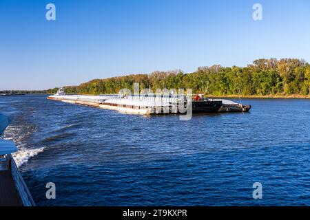 Deux grands remorqueurs poussant des rangées de barges avec du grain et des produits pétroliers le long du fleuve Mississippi supérieur Banque D'Images