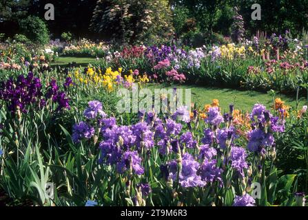 Jardin d'exposition, Schreiners Iris Gardens, comté de Marion, Oregon Banque D'Images