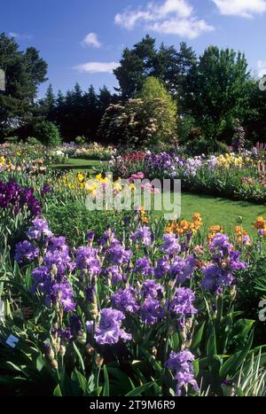 Display Garden, Schreiners Iris Gardens, comté de Marion, Oregon Banque D'Images