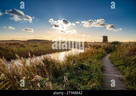 Une promenade à travers les roseaux et les marais avec vieux moulin sur la ligne du ciel. Lumière du soir. Côte du Suffolk près de Walberswick. Banque D'Images