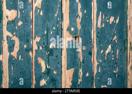 Texture de fond de peinture bleu vert écaillé sur une porte en bois patiné avec des planches de bois exposées en dessous Banque D'Images