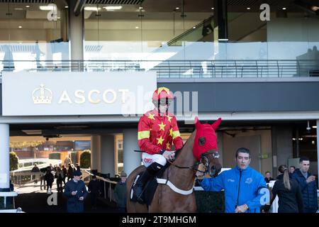 Ascot, Berkshire, Royaume-Uni. 25 novembre 2023. Horse Minella Drama monté par le jockey Brian Hughes et entraîné par Donald McCain, Cholmondeley, se dirige vers l'hippodrome pour le Nirvana Spa 1965 Steeple Chase à l'hippodrome d'Ascot lors du meeting November Racing Saturday. Propriétaire Green Day Racing. Crédit : Maureen McLean/Alamy Live News Banque D'Images