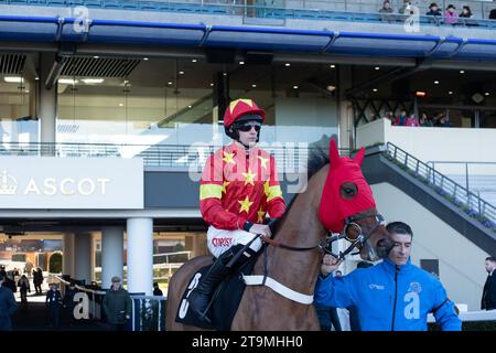 Ascot, Berkshire, Royaume-Uni. 25 novembre 2023. Horse Minella Drama monté par le jockey Brian Hughes et entraîné par Donald McCain, Cholmondeley, se dirige vers l'hippodrome pour le Nirvana Spa 1965 Steeple Chase à l'hippodrome d'Ascot lors du meeting November Racing Saturday. Propriétaire Green Day Racing. Crédit : Maureen McLean/Alamy Live News Banque D'Images