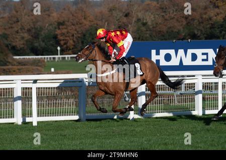 Ascot, Berkshire, Royaume-Uni. 25 novembre 2023. Horse Minella Drama monté par le jockey Brian Hughes et entraîné par Donald McCain, Cholmondeley, course dans le Nirvana Spa 1965 Steeple Chase à l'hippodrome d'Ascot lors du meeting de novembre Racing Saturday. Propriétaire Green Day Racing. Crédit : Maureen McLean/Alamy Live News Banque D'Images