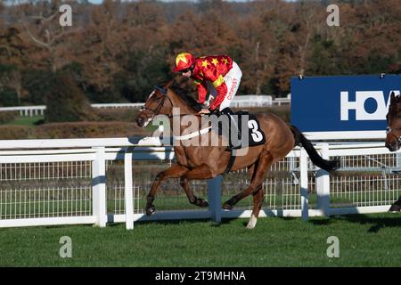 Ascot, Berkshire, Royaume-Uni. 25 novembre 2023. Horse Minella Drama monté par le jockey Brian Hughes et entraîné par Donald McCain, Cholmondeley, course dans le Nirvana Spa 1965 Steeple Chase à l'hippodrome d'Ascot lors du meeting de novembre Racing Saturday. Propriétaire Green Day Racing. Crédit : Maureen McLean/Alamy Live News Banque D'Images