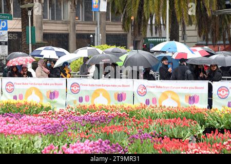 San Francisco, CA - 4 mars 2023 : les participants font la queue sous la pluie à Union Square où 80 000 tulipes sont distribuées pour la Journée nationale des femmes. Banque D'Images