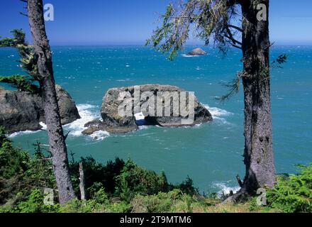 Vue depuis le point de vue d'Arch Rock, le parc national Samuel Boardman, Oregon Banque D'Images