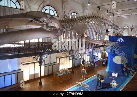 Monaco - 23 juin 2019 : visiteurs au Musée Océanographique de Monaco. Banque D'Images