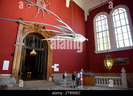 Monaco - 23 juin 2019 : visiteurs au Musée Océanographique de Monaco. Banque D'Images