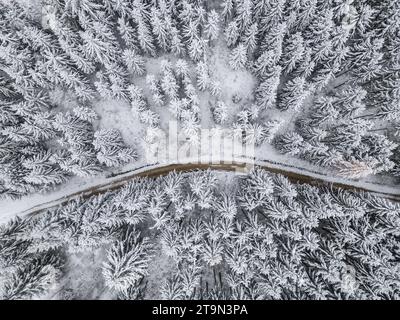 Gosheim, Allemagne. 26 novembre 2023. Des conifères enneigés peuvent être vus dans une zone boisée. (Prise de vue aérienne avec un drone). Crédit : Silas Stein/dpa/Alamy Live News Banque D'Images