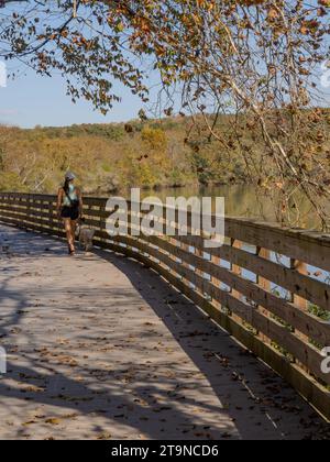Une jeune femme promenant son chien blanc de taille moyenne sur une promenade ombragée au bord d'un étang. Photographié avec elle dos à la caméra en automne. Banque D'Images