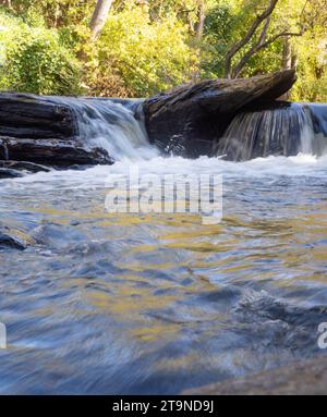 Vue à angle bas d'une petite cascade tombant sur de grands rochers plats à Big ou Vickery Creek à Roswell, Géorgie. Des arbres à feuilles caduques ensoleillées sont à l'arrière Banque D'Images