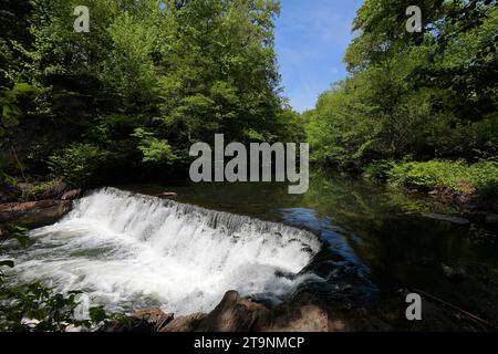 Cascade de Snuff Mill sur la rivière Bronx à l'intérieur des jardins botaniques de New York, New York City. Les restes du barrage alimentaient autrefois un moulin à tabac du 19e cen Banque D'Images