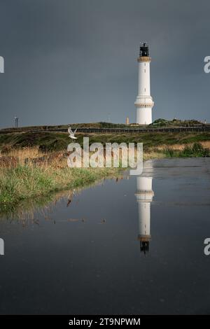 Un phare blanc pittoresque se dresse au sommet d'une colline surplombant un plan d'eau tranquille, avec une mouette s'élevant au-dessus de la surface Banque D'Images