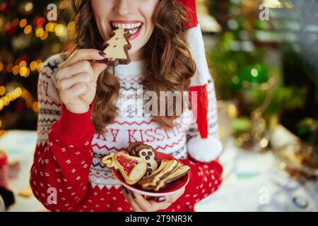 Noël. Gros plan sur Happy en pull de Noël rouge avec des biscuits traditionnels dans le chapeau de père noël dans le bureau vert avec arbre de Noël. Banque D'Images