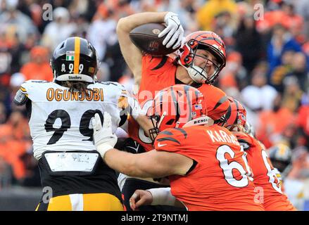 Cincinnati, Ohio, États-Unis. 26 novembre 2023. Les Steelers de Pittsburgh affrontent Larry Ogunjobi (99) lors du match de saison régulière entre les Steelers de Pittsburgh et les Bengals de Cincinnati, Ohio. JP Waldron/Cal Sport Media (image de crédit : © JP Waldron/Cal Sport Media). Crédit : csm/Alamy Live News Banque D'Images