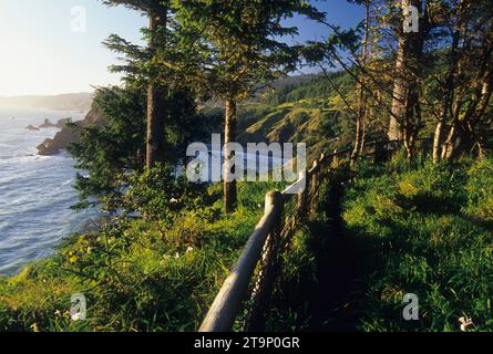 Arch Rock Viewpoint, Samuel Boardman State Park, Oregon Banque D'Images