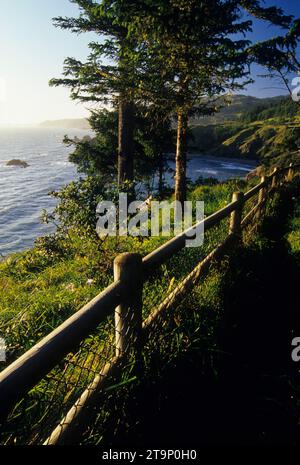 Arch Rock Viewpoint, Samuel Boardman State Park, Oregon Banque D'Images